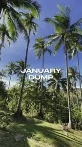 January Dump CapCut Template