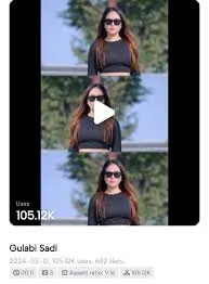 Split Flicker Capcut Template